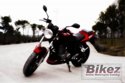 2011 Shineray XY-250 5 photo